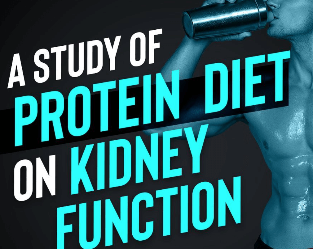 A Study Of High Protein Diet On Kidney Function
