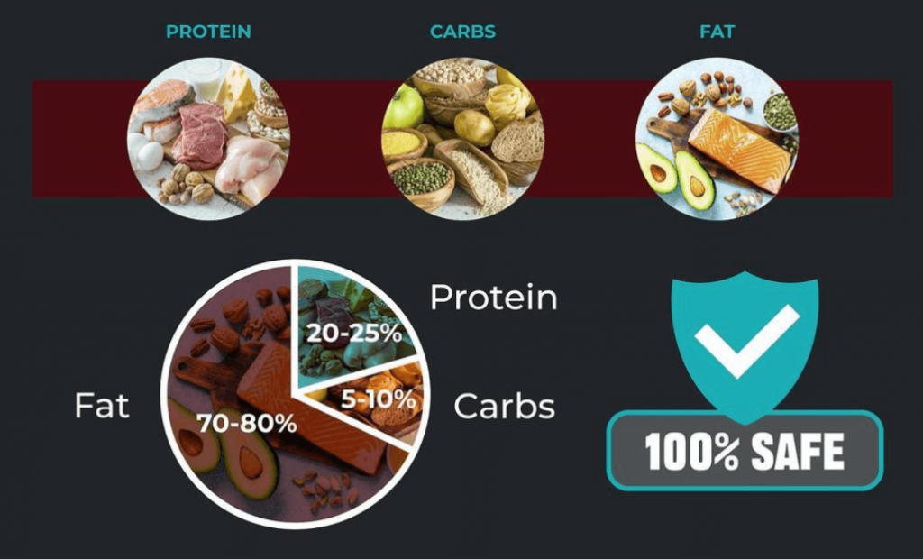 protein carbs and fat