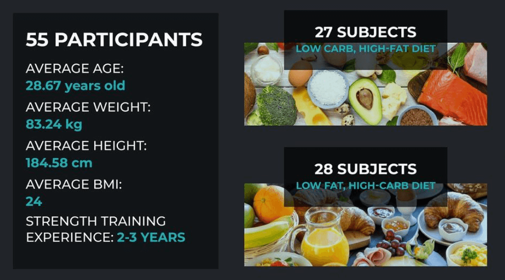 High Fat Vs High Carbs - Rugby Warfare